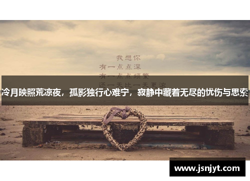 冷月映照荒凉夜,孤影独行心难宁,寂静中藏着无尽的忧伤与思索 冷月映照荒凉夜,孤影独行心难宁,寂静中藏着无尽的忧伤与思索